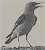 twitterbird.jpg
